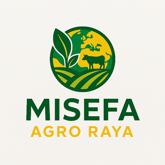Misefa.com Blog